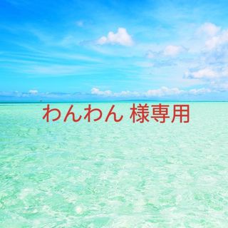 ザセム(the saem)のわんわん 様専用(コンシーラー)