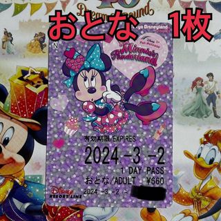 ディズニー(Disney)のディズニー　フリーきっぷ　おとな　ミニー　ファンダーランド(その他)