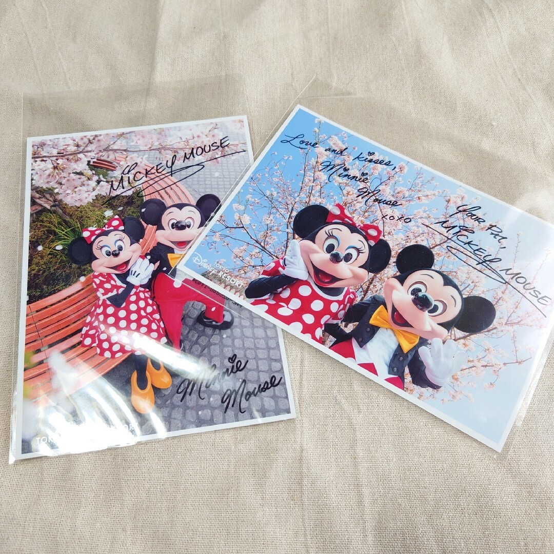 Disney(ディズニー)のミッキー　写真 エンタメ/ホビーのおもちゃ/ぬいぐるみ(キャラクターグッズ)の商品写真