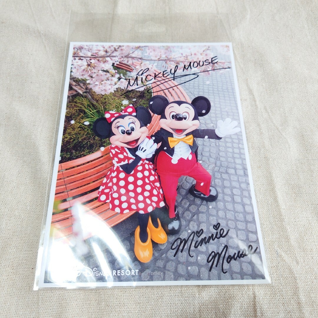 Disney(ディズニー)のミッキー　写真 エンタメ/ホビーのおもちゃ/ぬいぐるみ(キャラクターグッズ)の商品写真