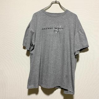 ヴィンテージ(VINTAGE)のアメリカ古着　オレンジビーチ　鮫　サメ　半袖　Ｔシャツ　刺繍　ライトグレー(Tシャツ/カットソー(半袖/袖なし))