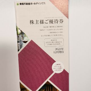 東急不動産ホールディングス　1冊(その他)