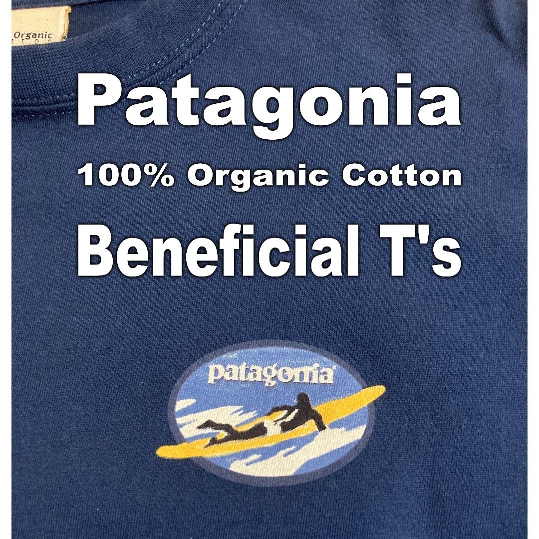 patagonia - 100% オーガニックコットン Tシャツ Beneficial T'sの通販 