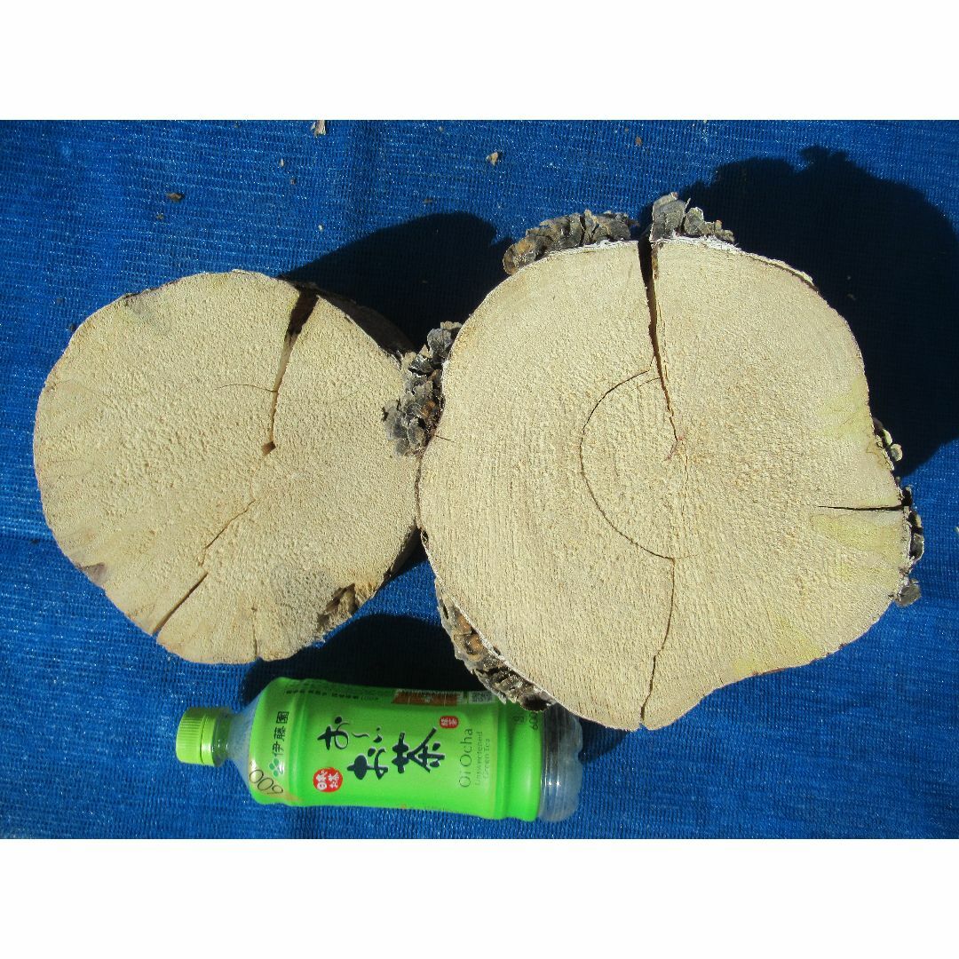 特大天然カワラ材　産卵木　割り材　２本　№５３３ その他のペット用品(虫類)の商品写真