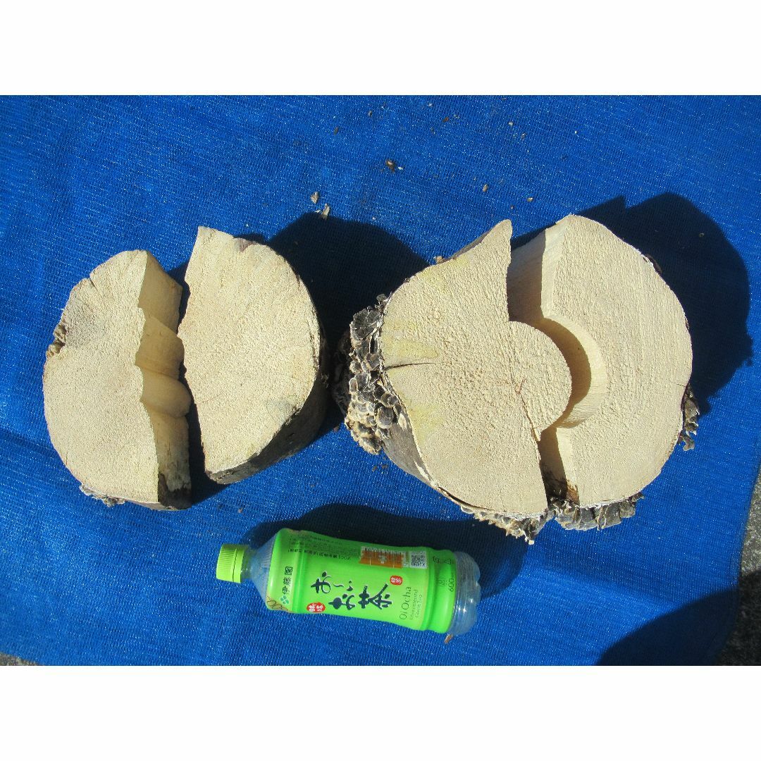 特大天然カワラ材　産卵木　割り材　２本　№５３３ その他のペット用品(虫類)の商品写真