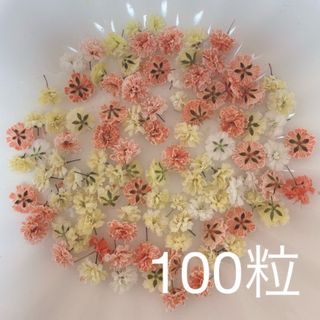 オレンジ系 かすみ草ドライフラワー100粒(ドライフラワー)