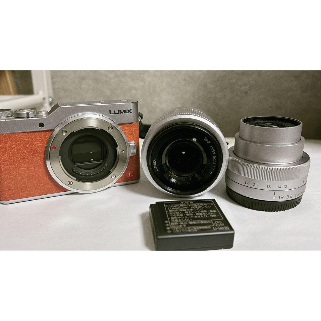 Panasonic(パナソニック)のLUMIXgf9 スマホ/家電/カメラのカメラ(ミラーレス一眼)の商品写真
