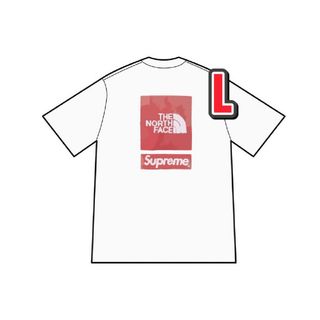 シュプリーム(Supreme)の即日配送！Supreme x The North Face S/S Top (Tシャツ/カットソー(半袖/袖なし))