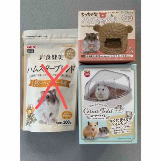 ハムスター　セット(小動物)