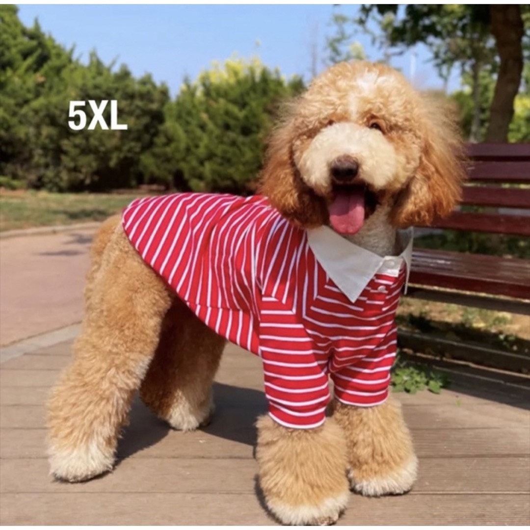 【ペット用】大型犬用 ペット服 襟付き 赤白ボーダー柄 シャツ　5XL その他のペット用品(犬)の商品写真