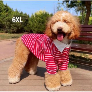 【ペット用】大型犬用 ペット服 襟付き 赤白ボーダー柄 シャツ　6XL(犬)