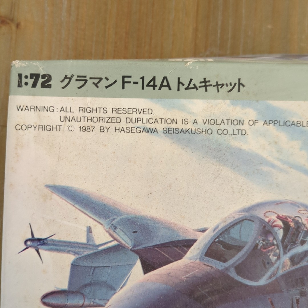 はせがわ(ハセガワ)のプラモデル　ハセガワ  アメリカ海軍 F-14A トムキャット ブラン エンタメ/ホビーのおもちゃ/ぬいぐるみ(模型/プラモデル)の商品写真