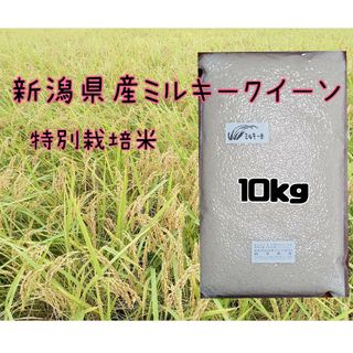 特別栽培米新潟県産ミルキークイーン10kの通販 by KEN1's shop｜ラクマ