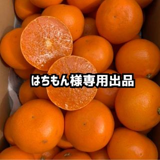 はちもん様専用出品(フルーツ)