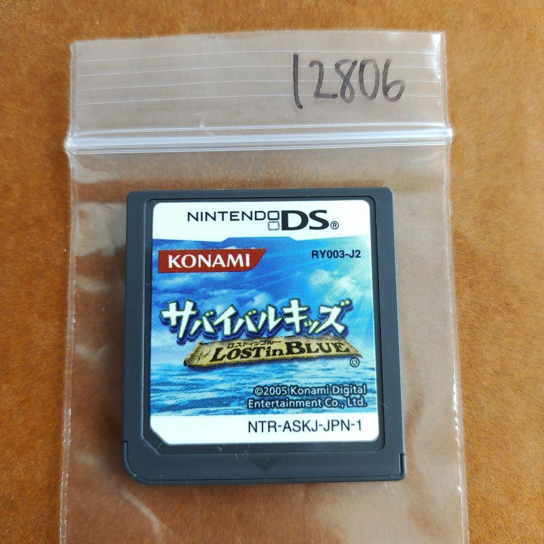 ニンテンドーDS(ニンテンドーDS)のサバイバルキッズ Lost in Blue エンタメ/ホビーのゲームソフト/ゲーム機本体(携帯用ゲームソフト)の商品写真