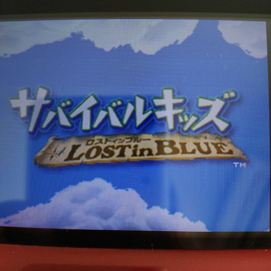 ニンテンドーDS(ニンテンドーDS)のサバイバルキッズ Lost in Blue エンタメ/ホビーのゲームソフト/ゲーム機本体(携帯用ゲームソフト)の商品写真