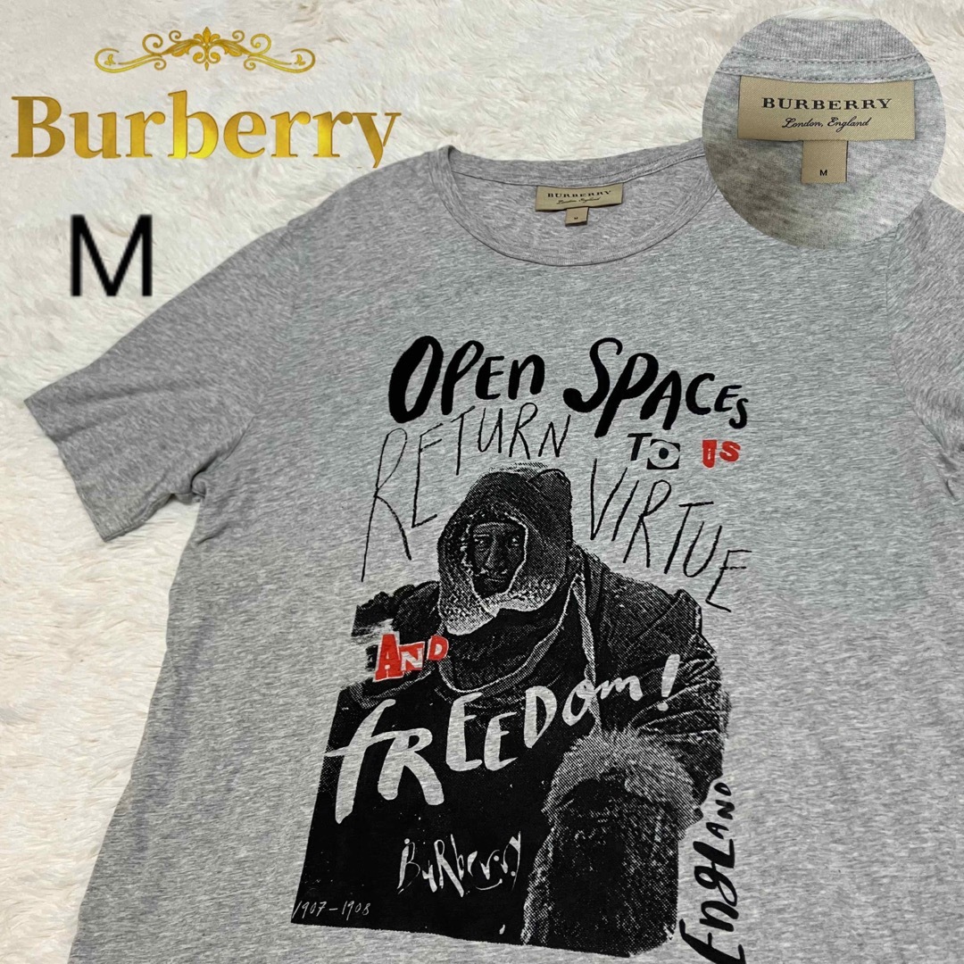 BURBERRY(バーバリー)の◎現行タグ　バーバリー　グラフィック　刺繍　プリント　Tシャツ　M メンズのトップス(Tシャツ/カットソー(半袖/袖なし))の商品写真