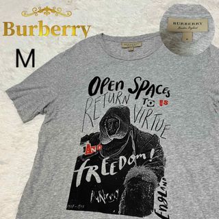 バーバリー(BURBERRY)の◎現行タグ　バーバリー　グラフィック　刺繍　プリント　Tシャツ　M(Tシャツ/カットソー(半袖/袖なし))