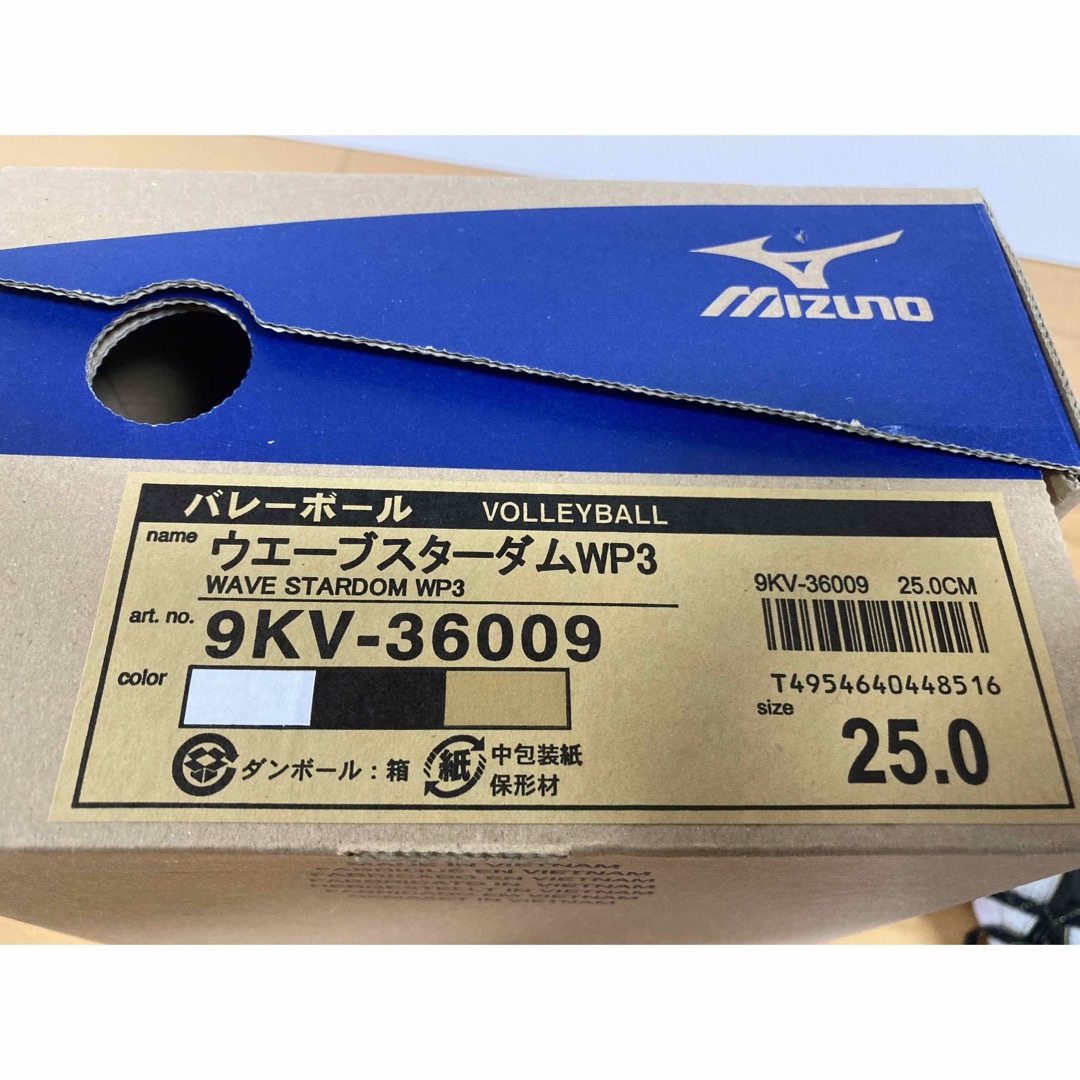 MIZUNO(ミズノ)のMIZUNO バレーシューズ 25.0cm スポーツ/アウトドアのスポーツ/アウトドア その他(バレーボール)の商品写真