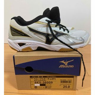 ミズノ(MIZUNO)のMIZUNO バレーシューズ 25.0cm(バレーボール)