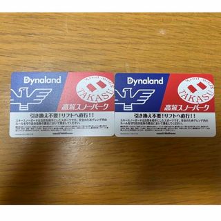 高鷲スノーパークandダイナランド　リフト券(スキー場)