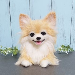 羊毛フェルト犬　チワワ(ぬいぐるみ)