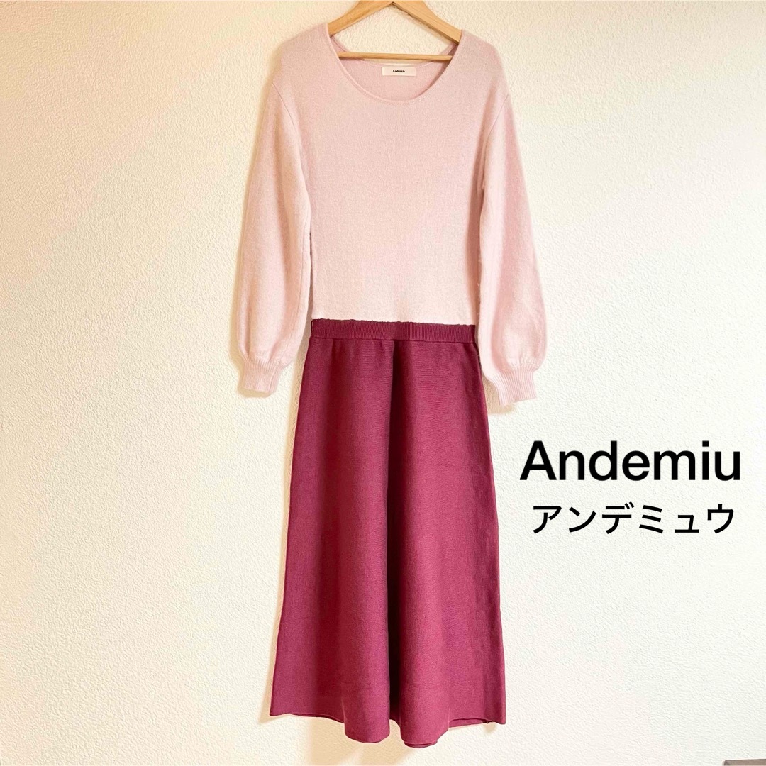 Andemiu(アンデミュウ)の【美品】Andemiu アンデミュウ レディース ニット ロング ワンピース レディースのワンピース(ロングワンピース/マキシワンピース)の商品写真