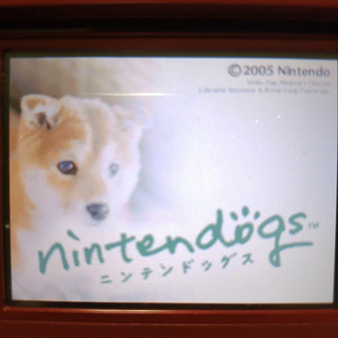 ニンテンドーDS(ニンテンドーDS)のnintendogs 柴＆フレンズ エンタメ/ホビーのゲームソフト/ゲーム機本体(携帯用ゲームソフト)の商品写真