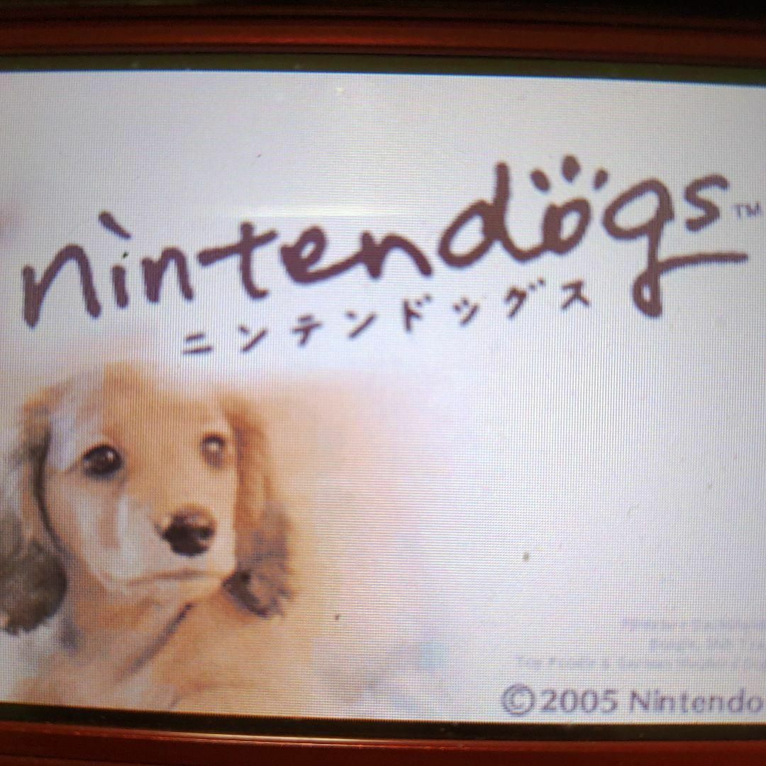 ニンテンドーDS(ニンテンドーDS)のnintendogs ダックス＆フレンズ エンタメ/ホビーのゲームソフト/ゲーム機本体(携帯用ゲームソフト)の商品写真