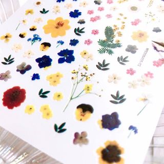 そのまま貼れる♡大判 カラフル 押し花【新品♡1枚】 ネイル フラワー 花柄(ネイル用品)