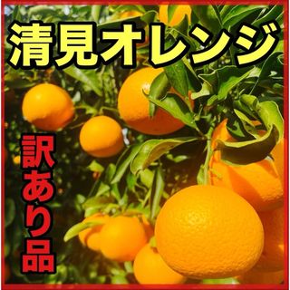 アリダミカン(有田みかん)の清見オレンジ　2キロ　傷あり　サイズ混合(フルーツ)