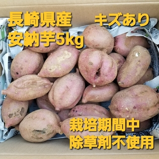【キズあり】長崎県産さつまいも安納5kg栽培期間中除草剤不使用