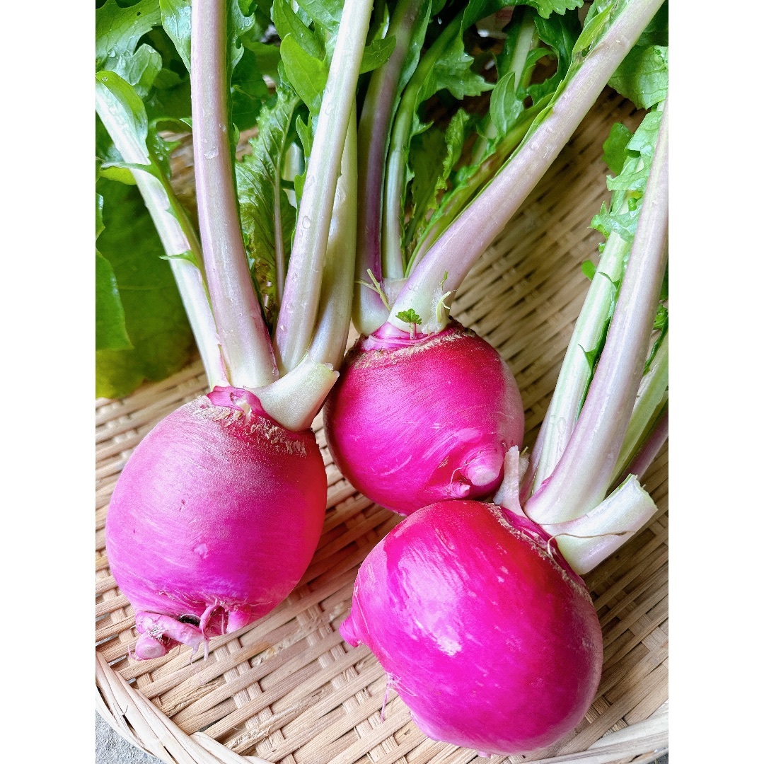 3月3日発送‼️新鮮お野菜セット‼️ 食品/飲料/酒の食品(野菜)の商品写真