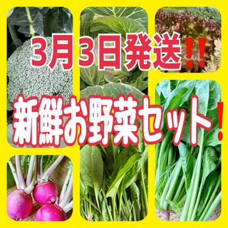 3月3日発送‼️新鮮お野菜セット‼️(野菜)