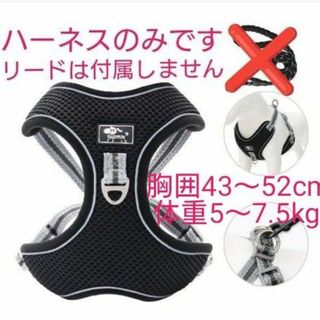 新品未使用　ペット用　ハーネス　　黒　小型犬　胴輪(犬)