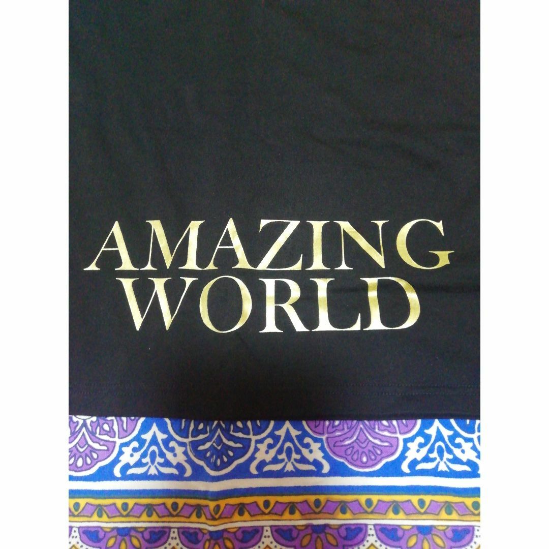 24karats(トゥエンティーフォーカラッツ)の24karats AMAZING WORLD Tシャツ☆Мサイズ☆オマケあり エンタメ/ホビーのタレントグッズ(ミュージシャン)の商品写真