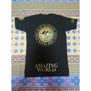 トゥエンティーフォーカラッツ(24karats)の24karats AMAZING WORLD Tシャツ☆Мサイズ☆オマケあり(ミュージシャン)