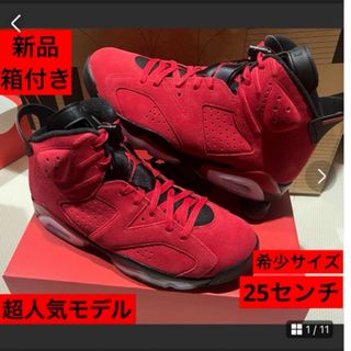 ナイキ(NIKE)のナイキ　エアジョーダン6(スニーカー)