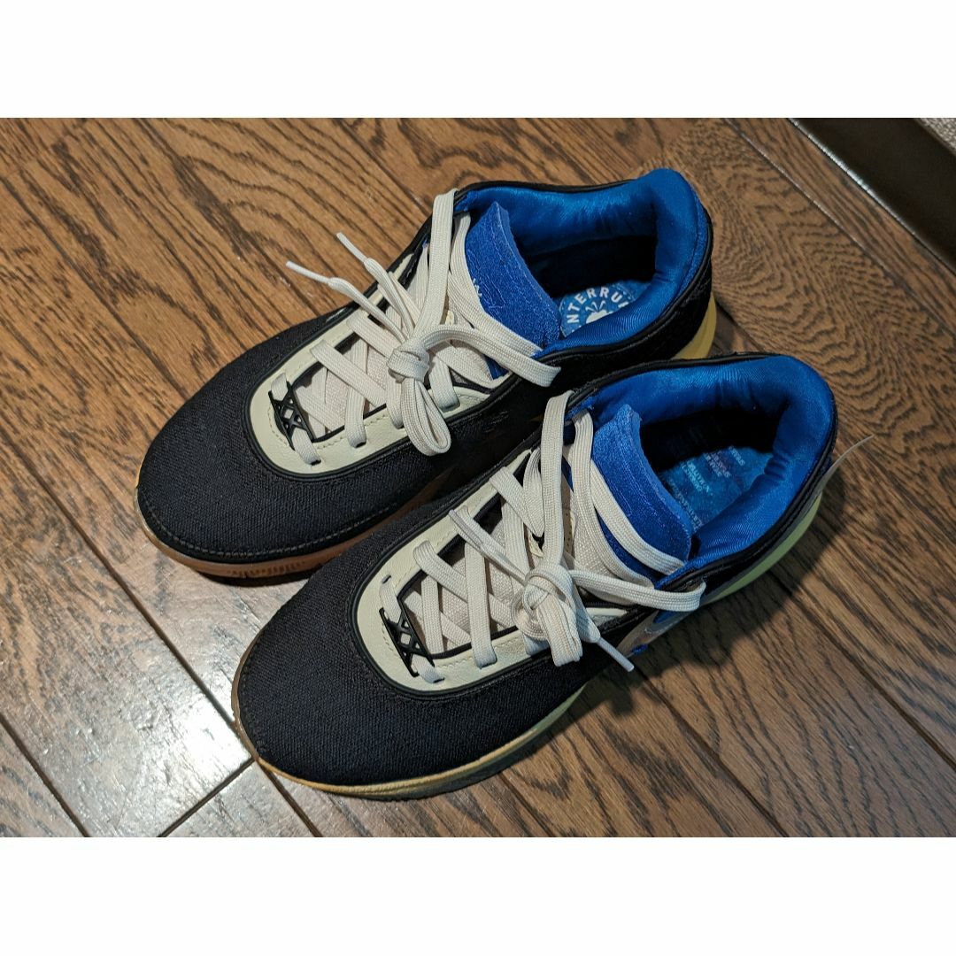 NIKE(ナイキ)のUNINTERRUPTED × NIKE LEBRON XX EP ナイキ メンズの靴/シューズ(スニーカー)の商品写真