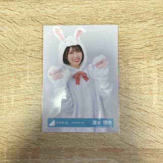 ヒナタザカフォーティーシックス(日向坂46)の日向坂46 清水理央 生写真 どうぶつ着ぐるみ チュウ(アイドルグッズ)