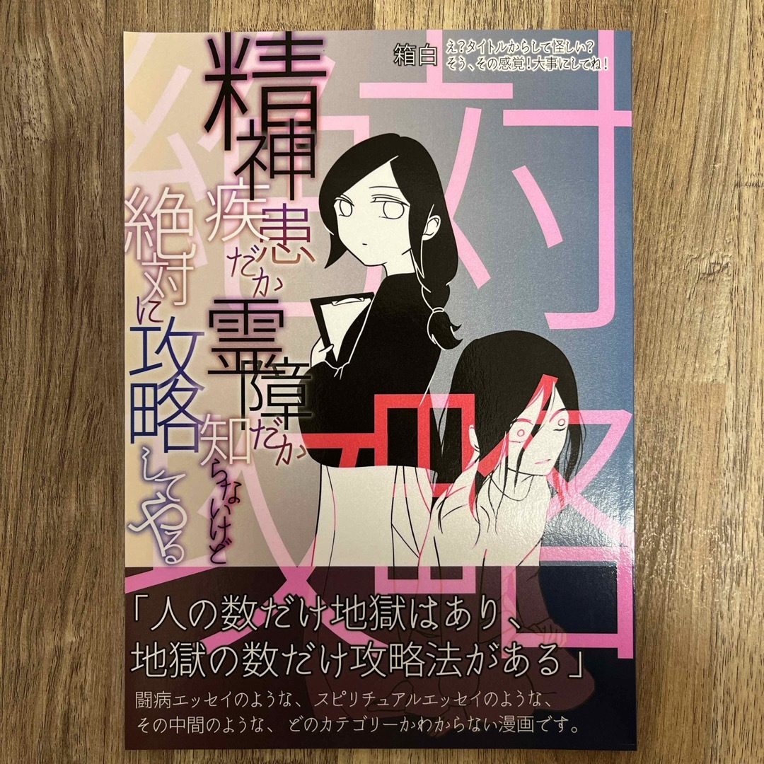 精神疾患だか霊障だか知らないけど絶対に攻略してやる エンタメ/ホビーの同人誌(一般)の商品写真