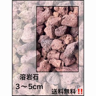 送料無料〜溶岩石600g(アクアリウム)