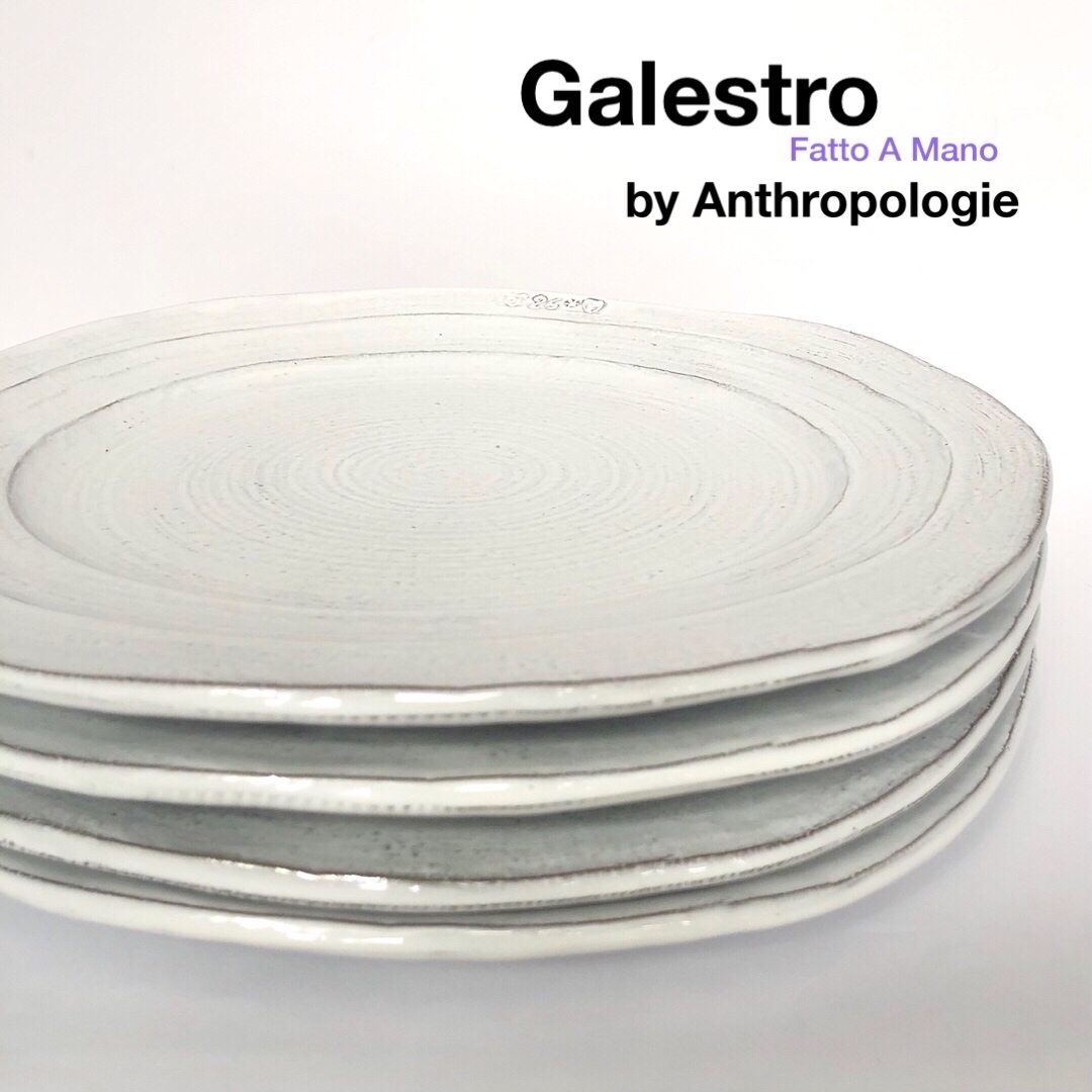 Anthropologie(アンソロポロジー)の専用　　　　　　　　Anthropologie Galestro プレート 4枚 インテリア/住まい/日用品のキッチン/食器(食器)の商品写真