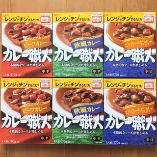 エザキグリコ(江崎グリコ)のカレー職人 6食【ビーフ、欧風 中辛／スパイシーチキン 辛口】レトルトカレー(レトルト食品)