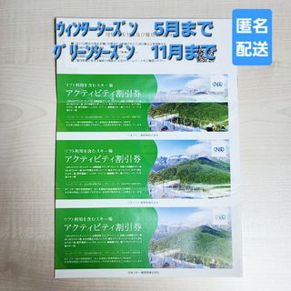 日本駐車場開発 割引券3枚 株主優待(スキー場)