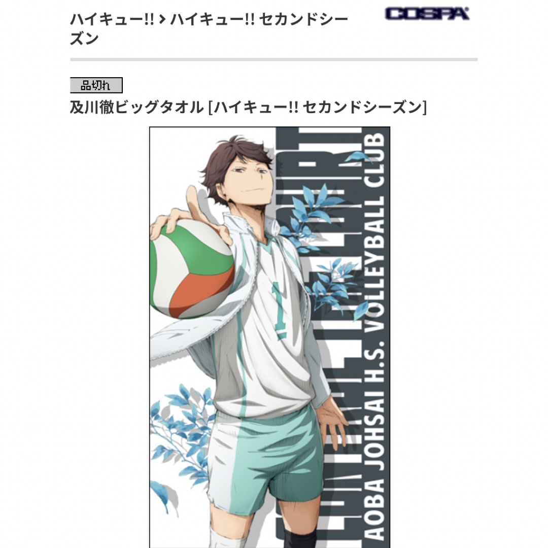 ハイキュー!!【⭐️2015年JF】及川徹 ビッグタオル BIGバス ハイキュー!!【⭐️2015年JF】及川徹 ビッグタオル BIGバス