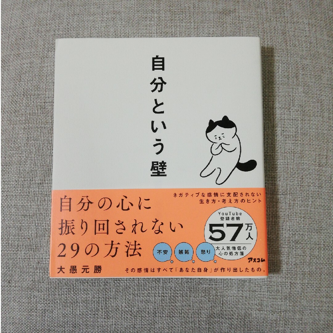 自分という壁　自分の心に振り回されない２９の方法 エンタメ/ホビーの本(その他)の商品写真