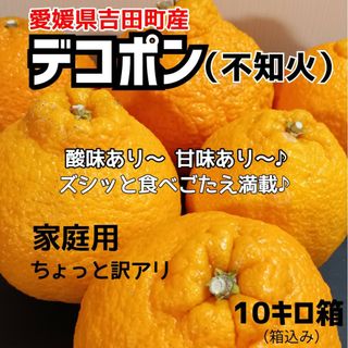 愛媛県産★農家直送★不知火(デコポン) 10キロ箱(フルーツ)