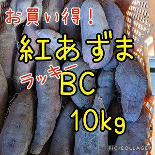 紅あずま　ラッキー♪BC品 10kg(野菜)