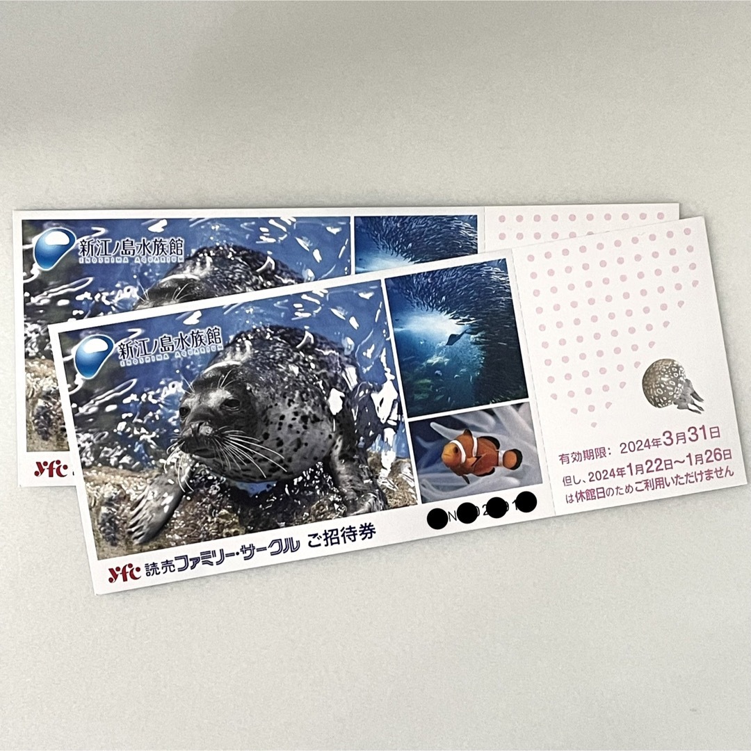 新江ノ島水族館 ご招待券 2枚（2024.3.31まで） チケットの施設利用券(水族館)の商品写真